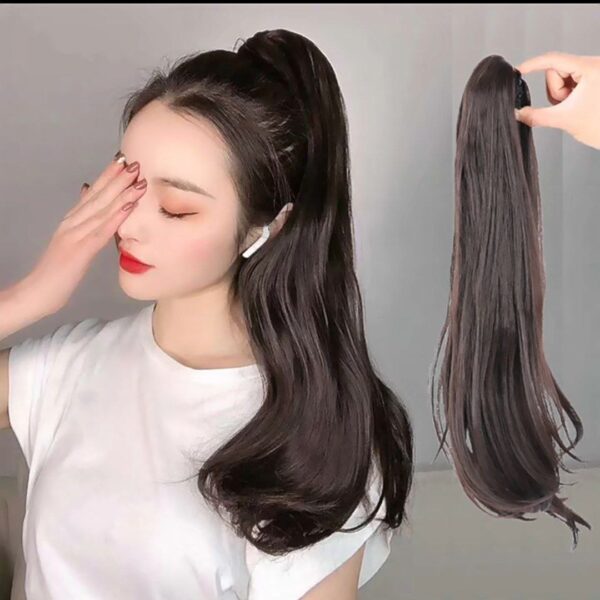 Claw Clip Hair Extensions Pony Tail